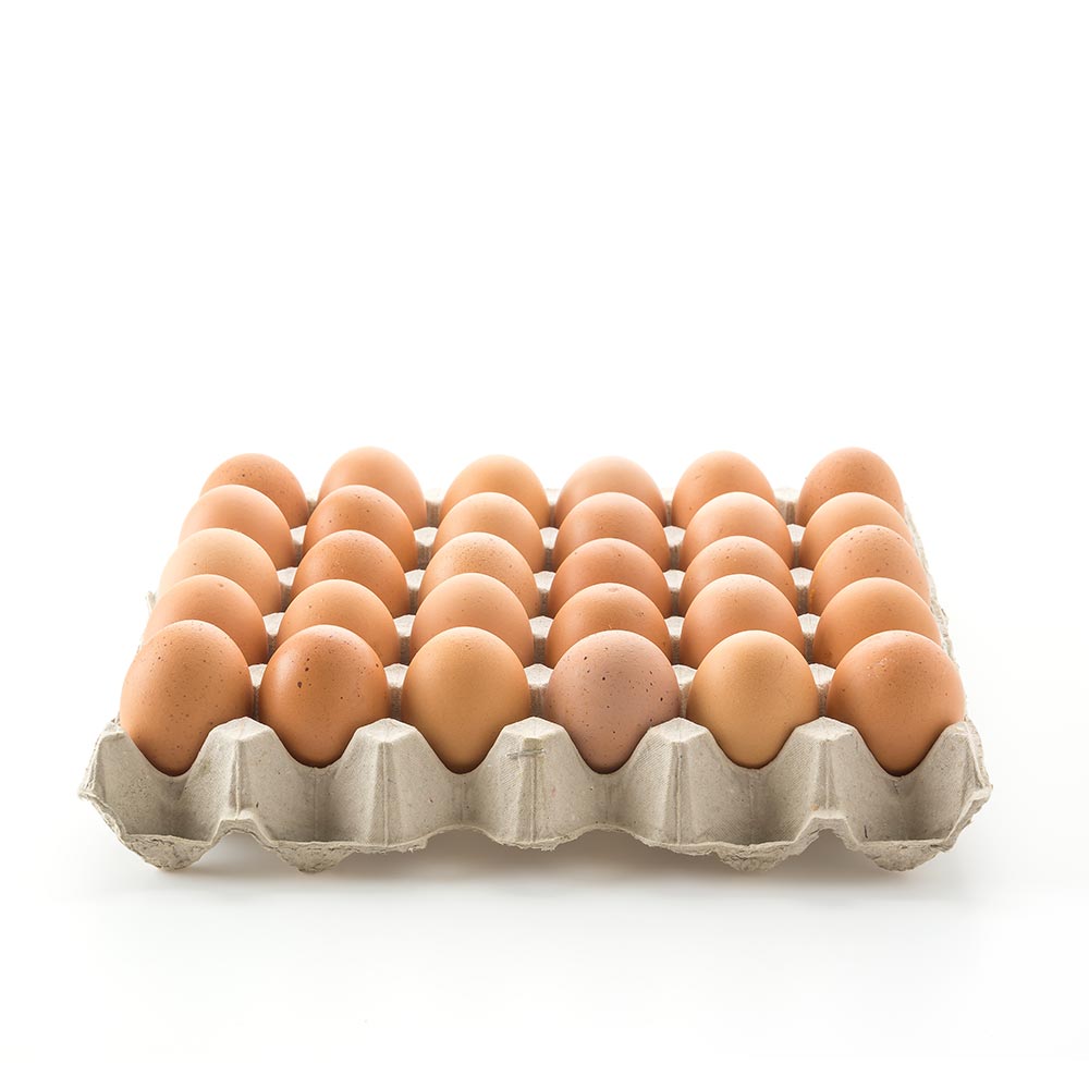 Huevos